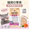 CAT DOG KING 貓犬王 - 貓用肉泥零食條 三文魚口味